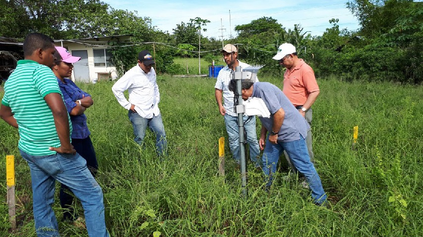 RAS5089 Virtual Training Course on the Enhancing Nutrient Use Efficiency using 15N Fertilizer Studies which will take place on 17 and 18 August 2020, between 1100-1300 Vienna time (CET)